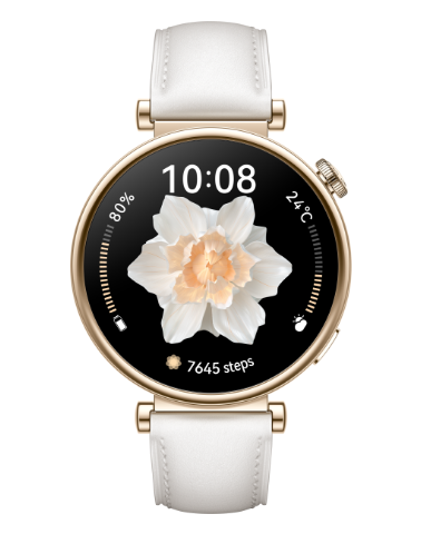 Watch GT 4 (41MM) (ARA-B19)