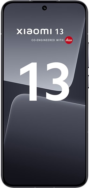 13 (2211133C)